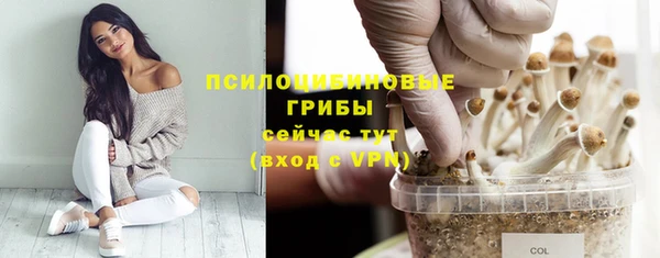 кристаллы Алзамай